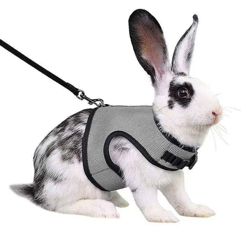 Multi-Color Breathable Pet Carrier Vest – Adjustable Soft Harness & Elastic Leash Set for Rabbits