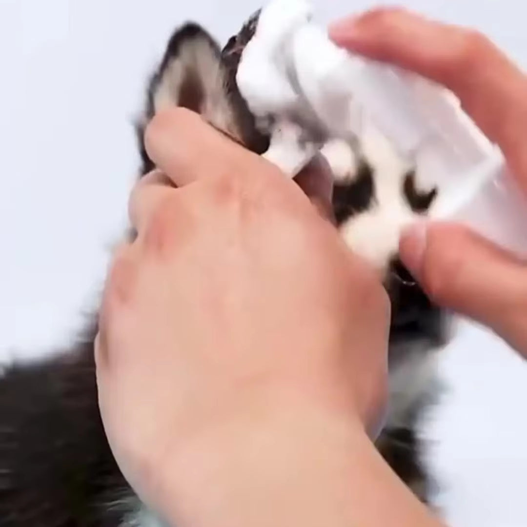 150ML No-Rinse Pet Paw Cleaner – Herbal Foam Wash with Silicone Massage Brush