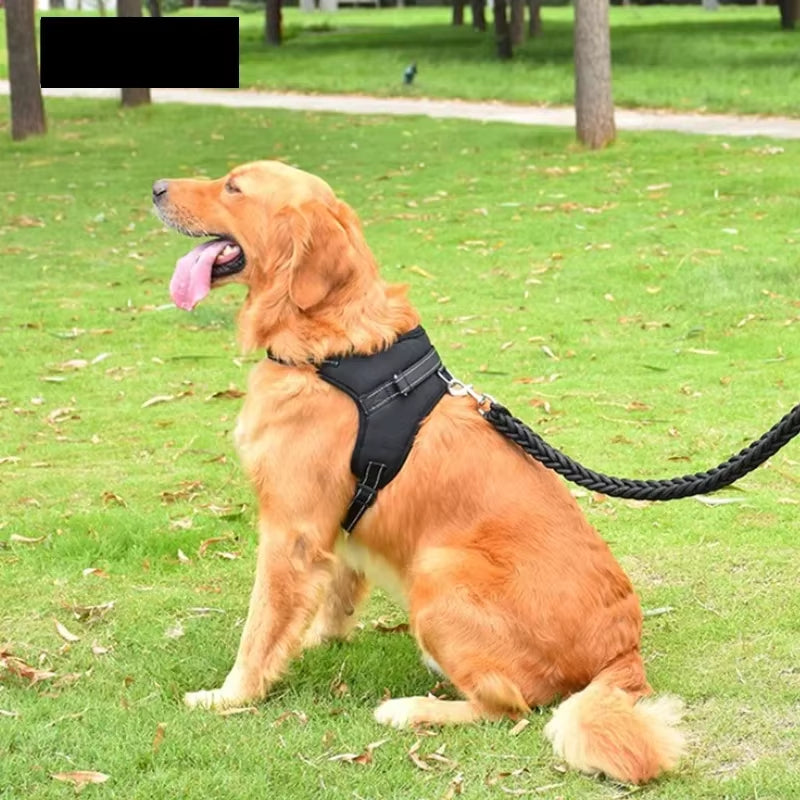 Adjustable Dog Harness Vest – Reflective Leash & 150cm Strong Traction Rope for Small & Large Dogs