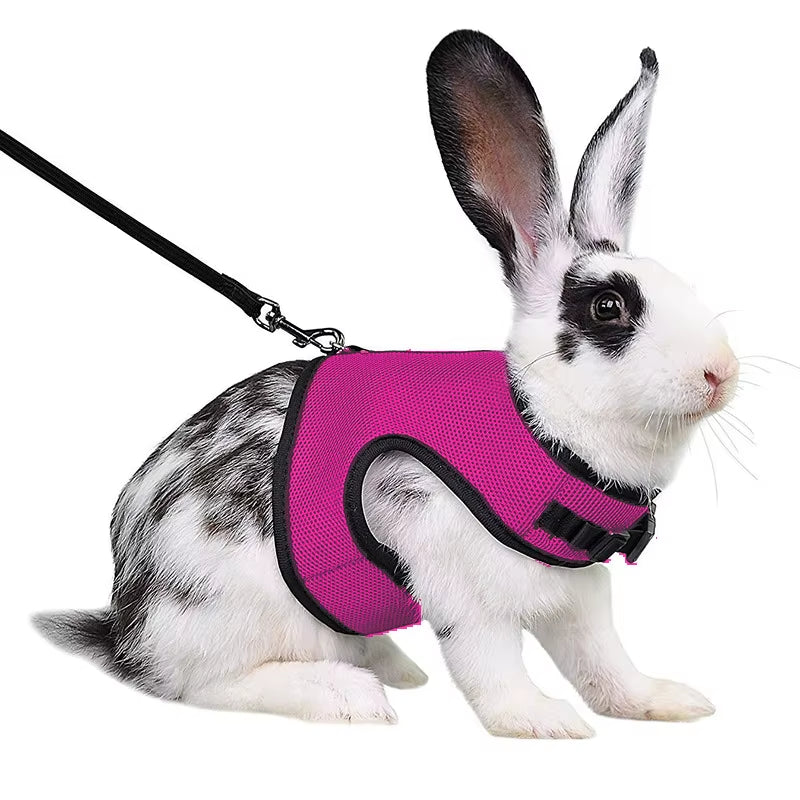 Multi-Color Breathable Pet Carrier Vest – Adjustable Soft Harness & Elastic Leash Set for Rabbits