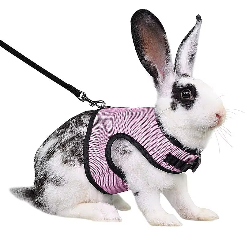 Multi-Color Breathable Pet Carrier Vest – Adjustable Soft Harness & Elastic Leash Set for Rabbits