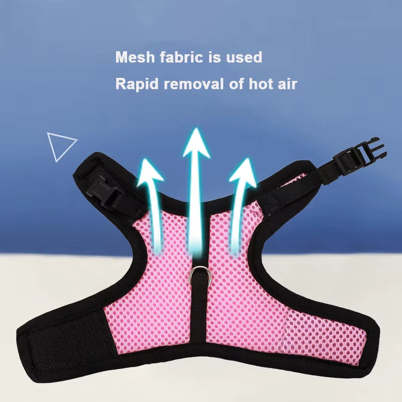 Multi-Color Breathable Pet Carrier Vest – Adjustable Soft Harness & Elastic Leash Set for Rabbits