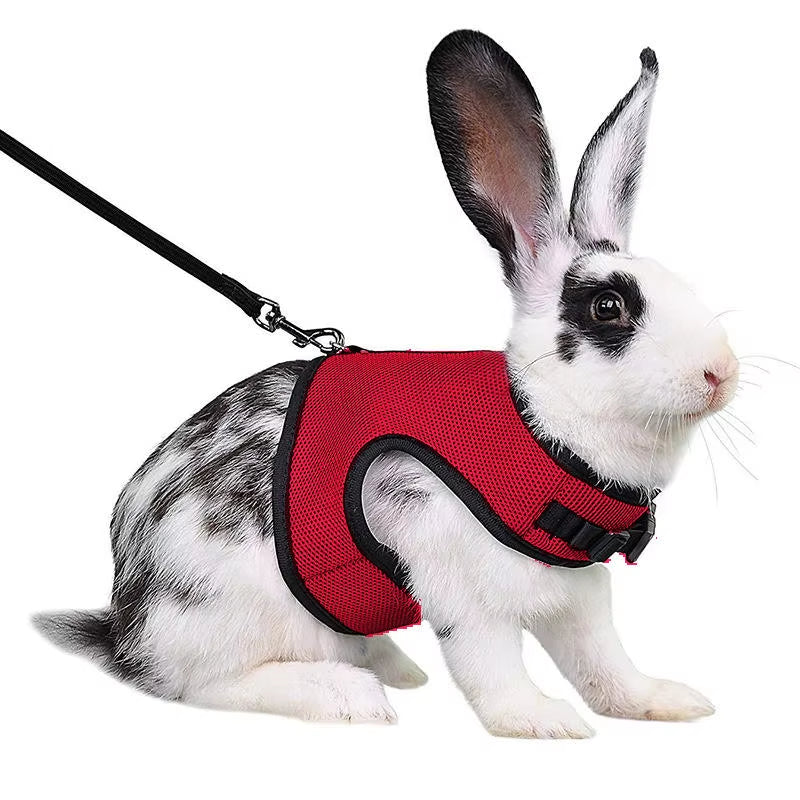Multi-Color Breathable Pet Carrier Vest – Adjustable Soft Harness & Elastic Leash Set for Rabbits