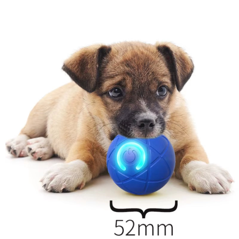 Smart USB Dog Toy Ball – Auto Moving, Bouncing & Rechargeable Interactive Pet Toy