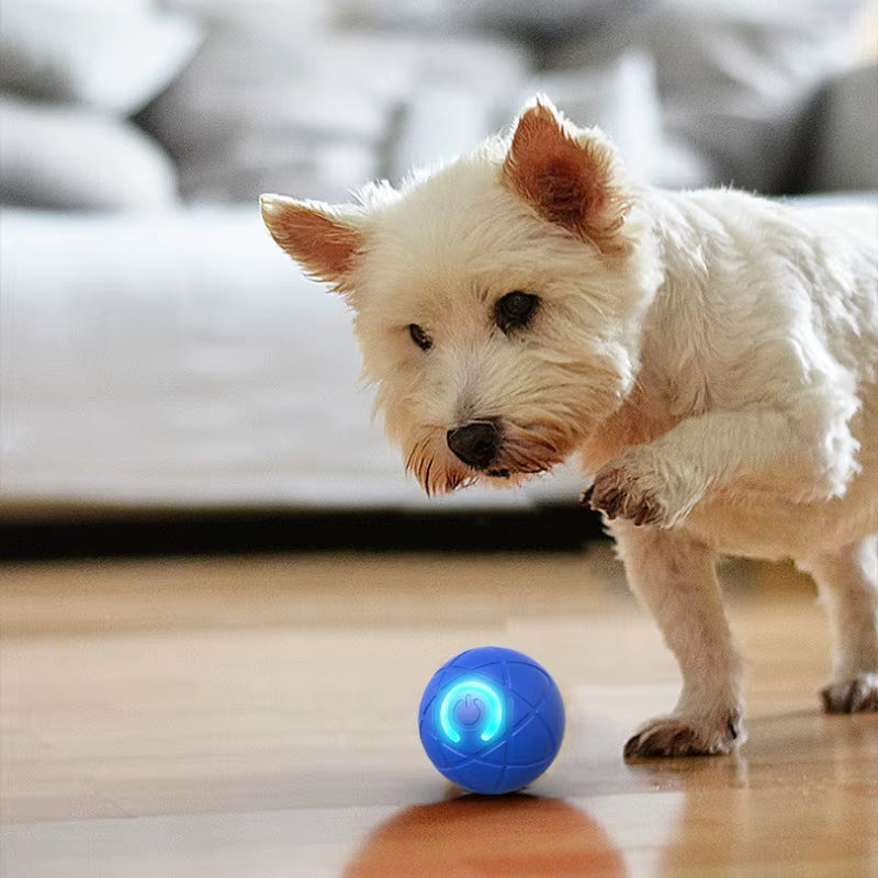 Smart USB Dog Toy Ball – Auto Moving, Bouncing & Rechargeable Interactive Pet Toy