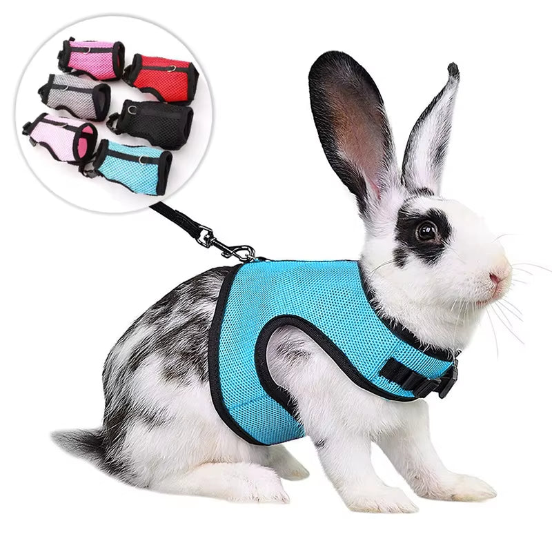 Multi-Color Breathable Pet Carrier Vest – Adjustable Soft Harness & Elastic Leash Set for Rabbits