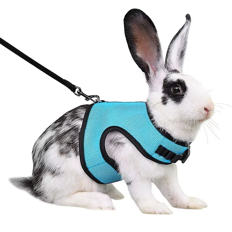 Multi-Color Breathable Pet Carrier Vest – Adjustable Soft Harness & Elastic Leash Set for Rabbits