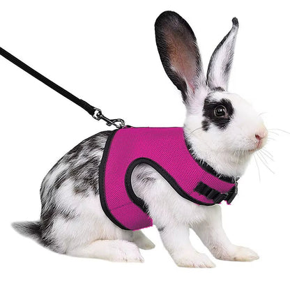 Multi-Color Breathable Pet Carrier Vest – Adjustable Soft Harness & Elastic Leash Set for Rabbits