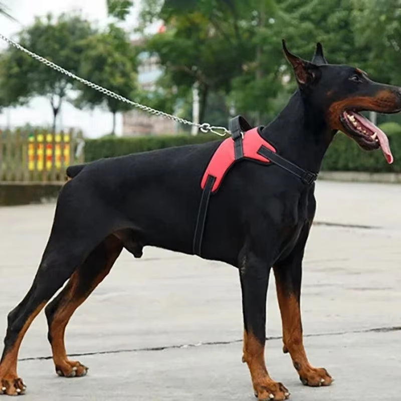 Adjustable Dog Harness Vest – Reflective Leash & 150cm Strong Traction Rope for Small & Large Dogs