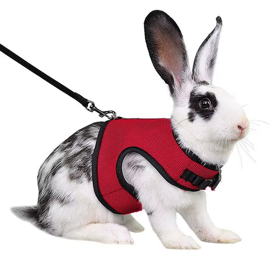 Multi-Color Breathable Pet Carrier Vest – Adjustable Soft Harness & Elastic Leash Set for Rabbits