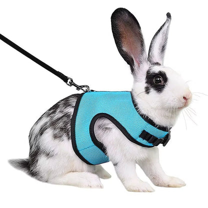 Multi-Color Breathable Pet Carrier Vest – Adjustable Soft Harness & Elastic Leash Set for Rabbits